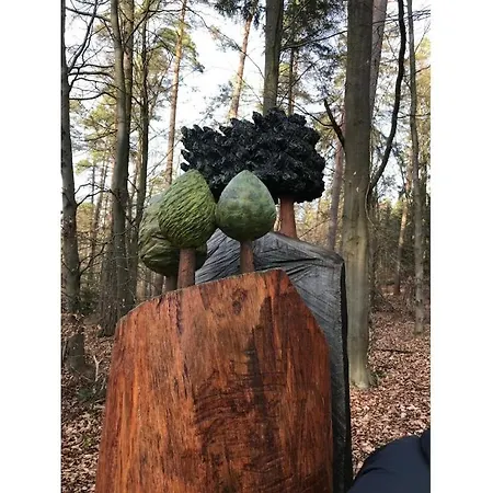 With 2 Bedrooms Дом отдыха *